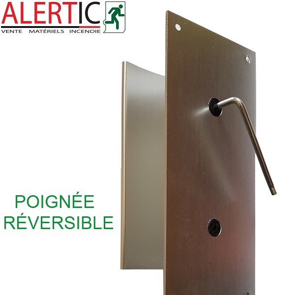 Ensemble/Plaque Porte Palière Cylindre Protégé ALPHA Aluminium